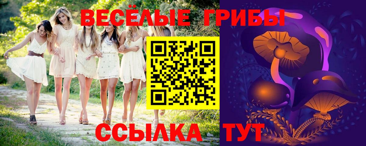 Галлюциногенные грибы GOLDEN TEACHER Реутов