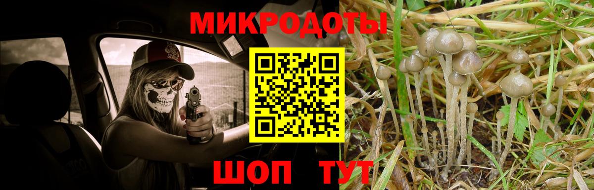 Реутов  Галлюциногенные грибы Magic Shrooms  Псилоцибиновые грибы Cubensis  Вход с VPN 