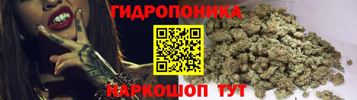 Канабис план Реутов
